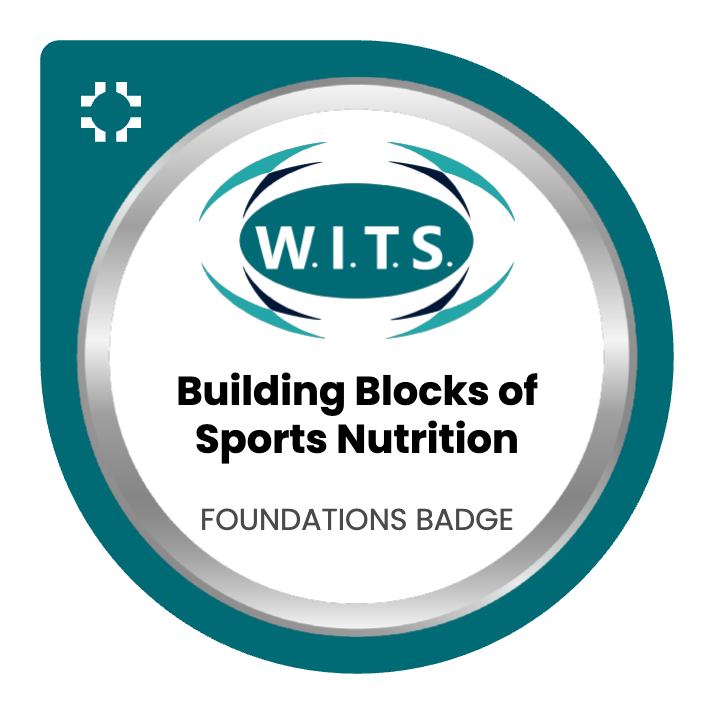 W.I.T.S