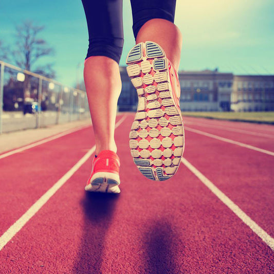Running Anatomy Course For Performance