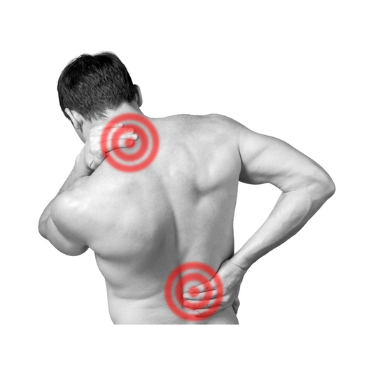 Back on Track: Post-Rehab Programming for Long-Term Back Health