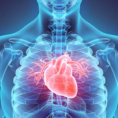 Cardio Rehab After Discharge: A Fitness Pro's Guide