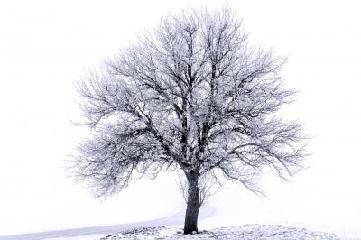 Winter Workouts: Challenges, Benefits; Tips for Staying Active