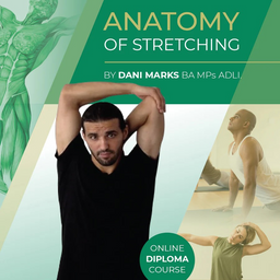 Anatomy of Stretching