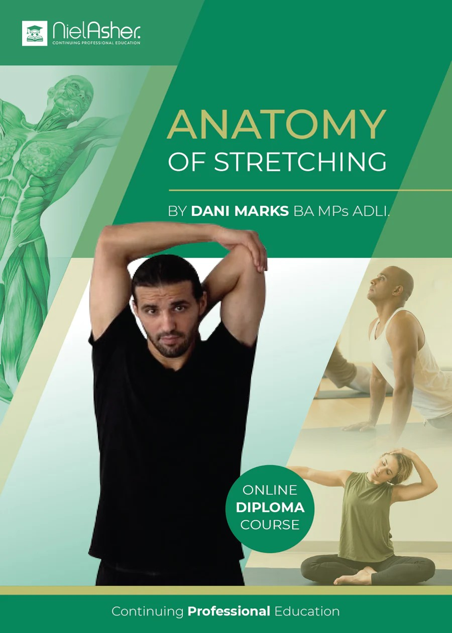 Anatomy of Stretching