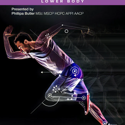 Biomechanics - Lower Body
