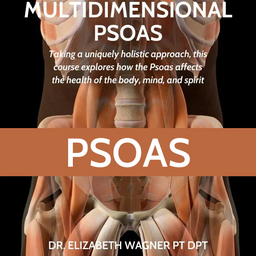 The Vital Psoas