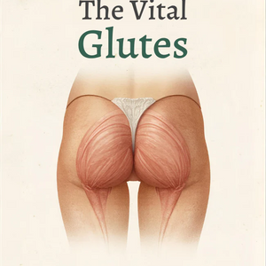 Understanding the Vital Glutes