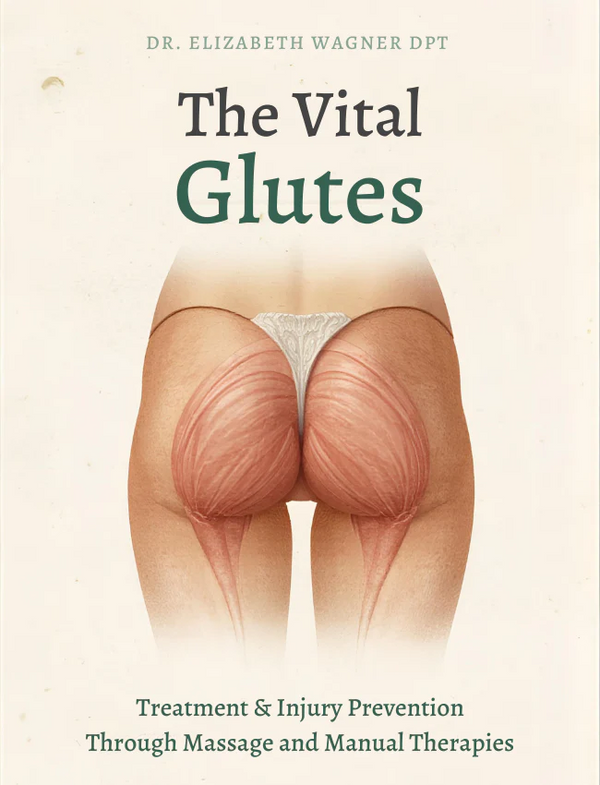 Understanding the Vital Glutes