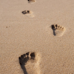 Movement From the Ground Up: Assessment, Gait, and Foot Mechanics