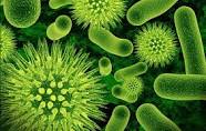 The 5 R’s in Functional Medicine. How they can support your Gut Health
