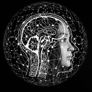 Rewiring the Brain through Fitness Mini-Course - Day 1