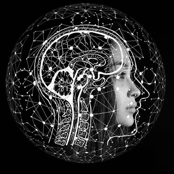 Rewiring the Brain through Fitness Mini-Course - Day 1