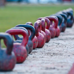 Professional Fitness Industry Standards