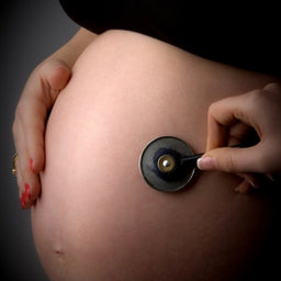 Pregnancy Fitness Course - Train Pregnant Clients Safely