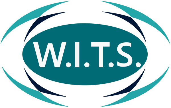 World Instructor Training Schools (W.I.T.S.) logo